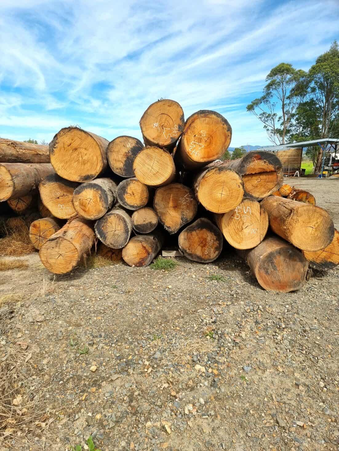 Blackbutt Timber