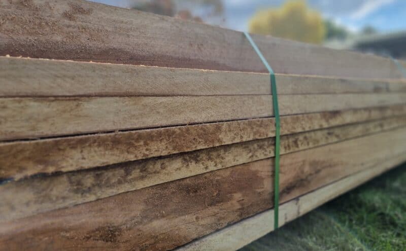 Spotted Gum