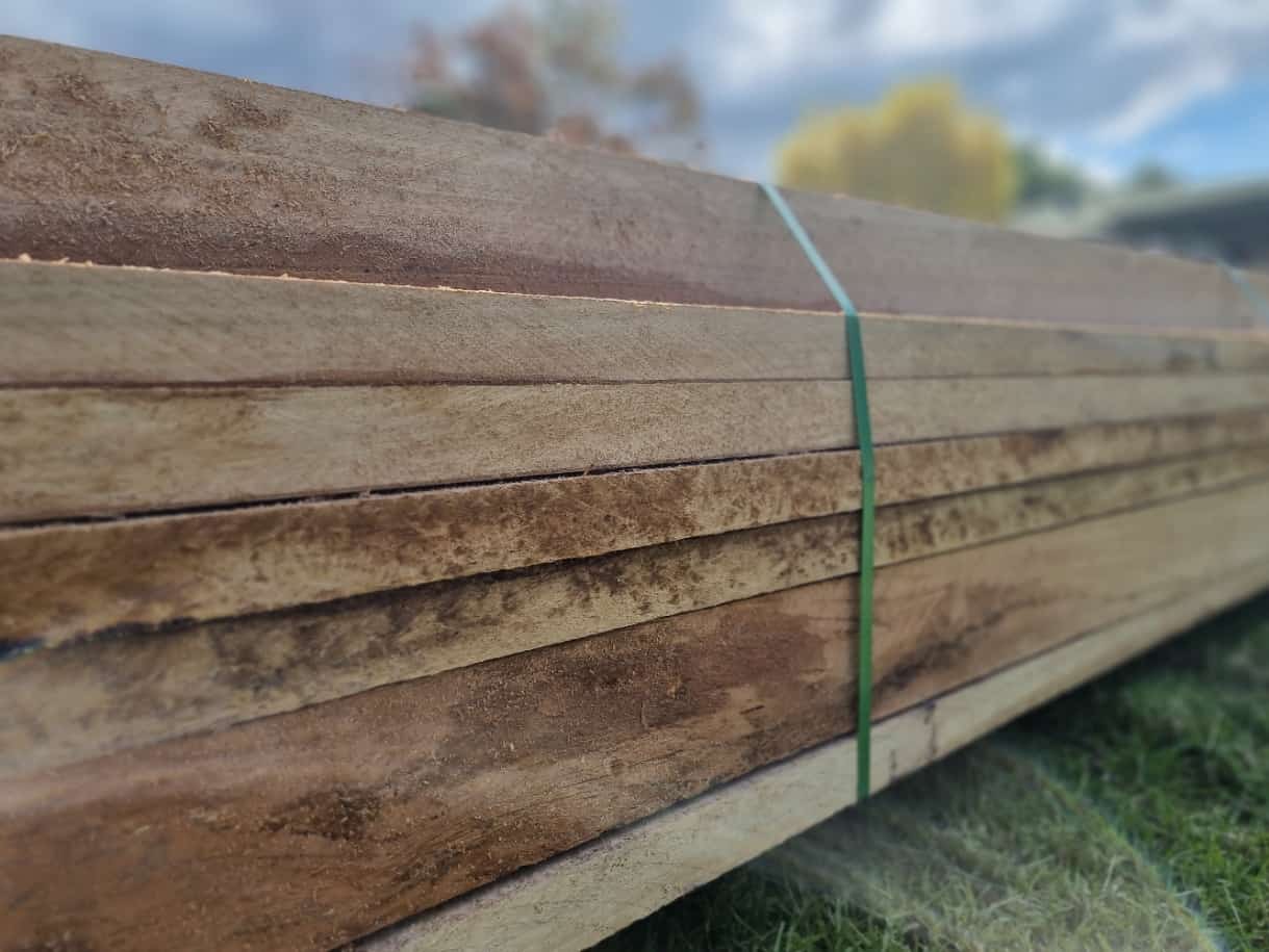 Spotted Gum